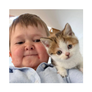 Hasbulla's Cat