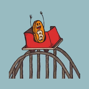 Bitcoin Roller Coaster Guy