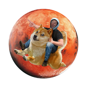 DOGE TO MARS