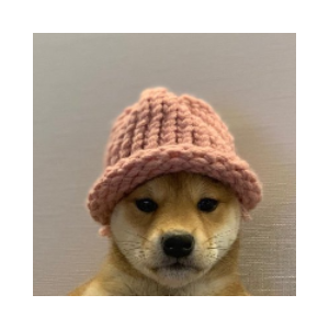 dogwifhat (ETH)