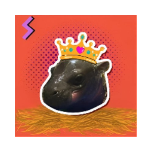 New Born Haggis Pygmy Hippo
