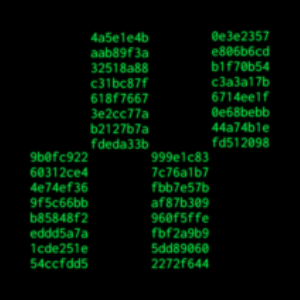 Hiero Terminal