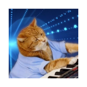 Keyboard Cat(keycatsol.com)