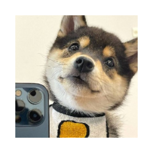 littlemanyu