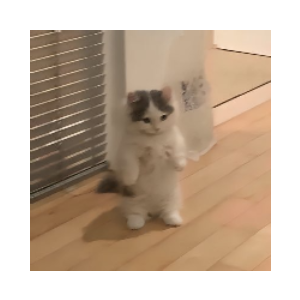 Michi