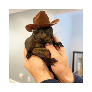 Peanut
