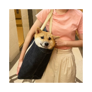 Pochita (pochita.biz)