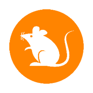 rats (Ordinals)