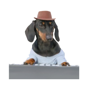 Synthesizer Dog