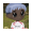 MEMEME icon