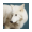 REMUS icon