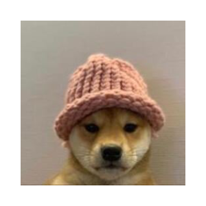 DOGWIFHOOD