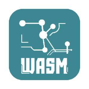 ZKWASM