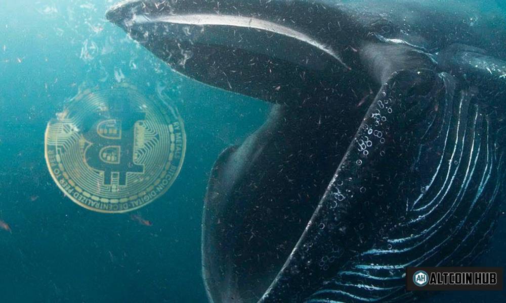 Whales are Massively Draining BTC and ETH — even at a loss
